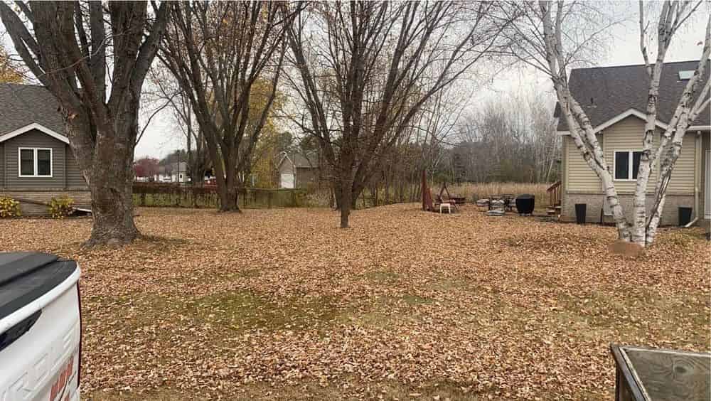 Spring/fall cleanups image