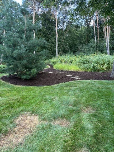 Stunning Mulch Transformation in Sartell MN