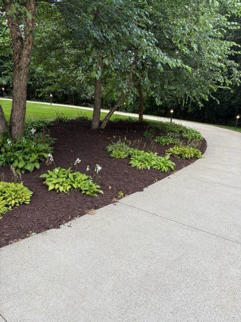 Stunning Mulch Transformation in Sartell MN
