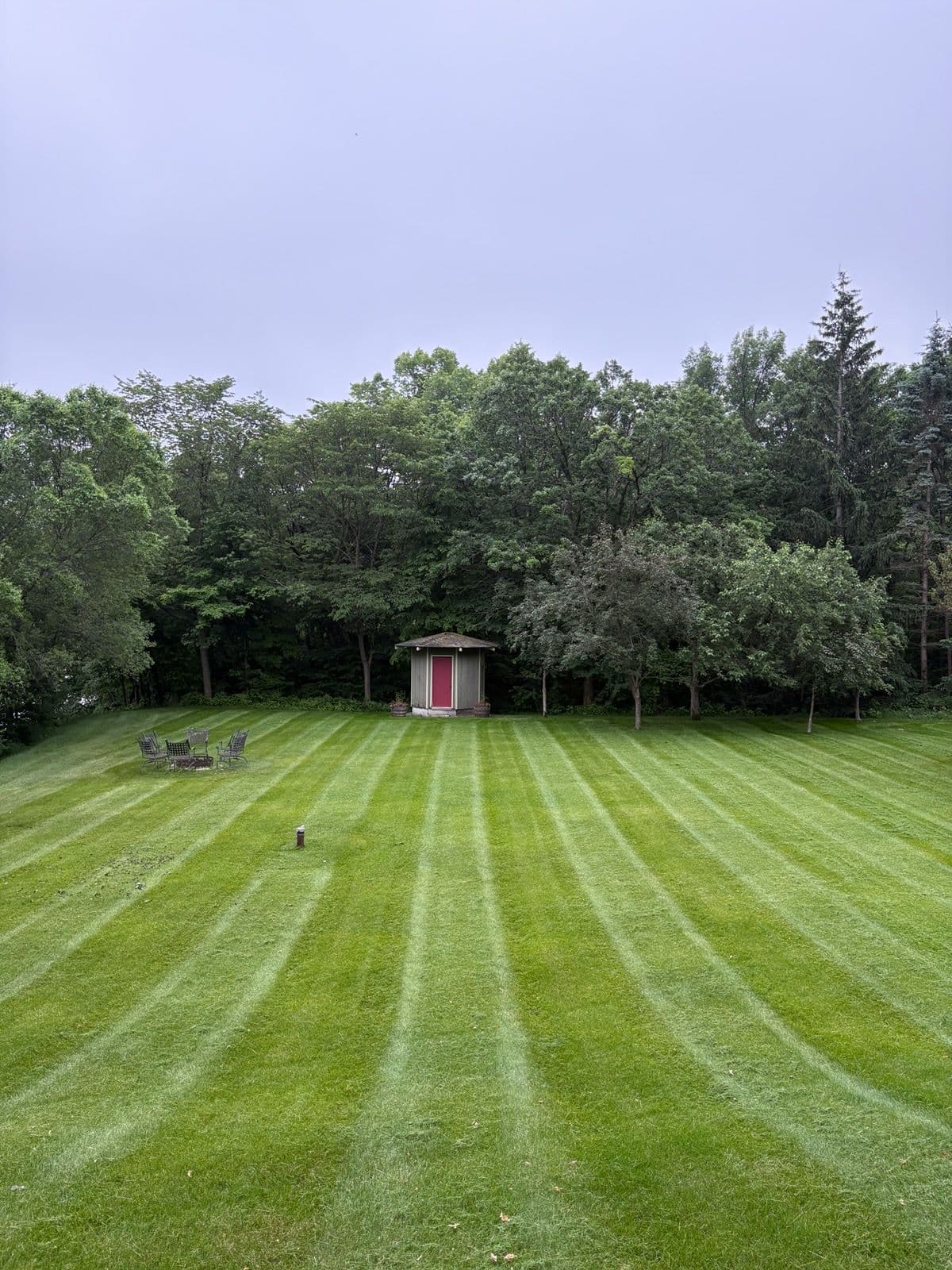 Transform Your Lawn with Expert Care